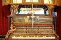 La voliere au Pianos 6 * 5184 x 3456 * (7.89MB)
